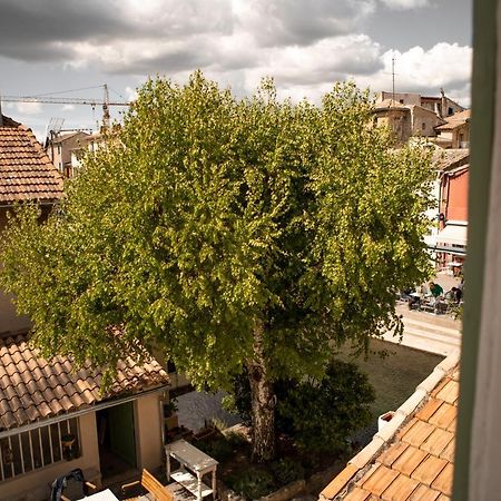 La Maison Du Bassin LʼIsle-sur-la-Sorgue Eksteriør billede