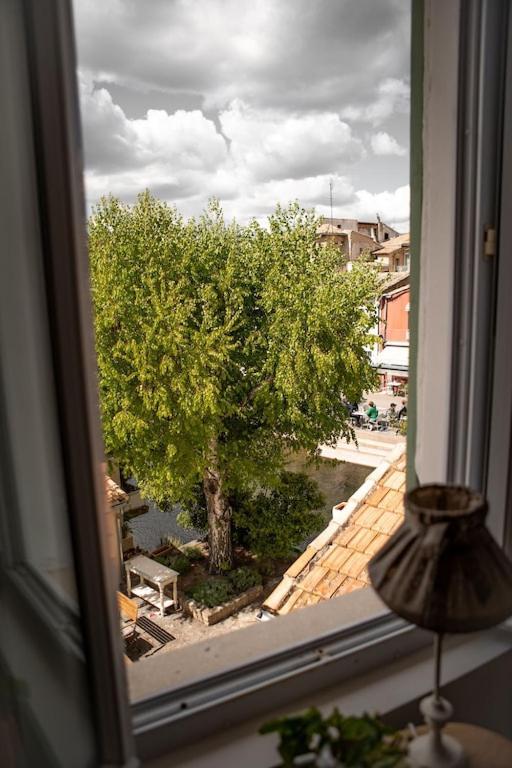 La Maison Du Bassin LʼIsle-sur-la-Sorgue Eksteriør billede